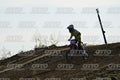 YOUNG 28 · DSH_3438
