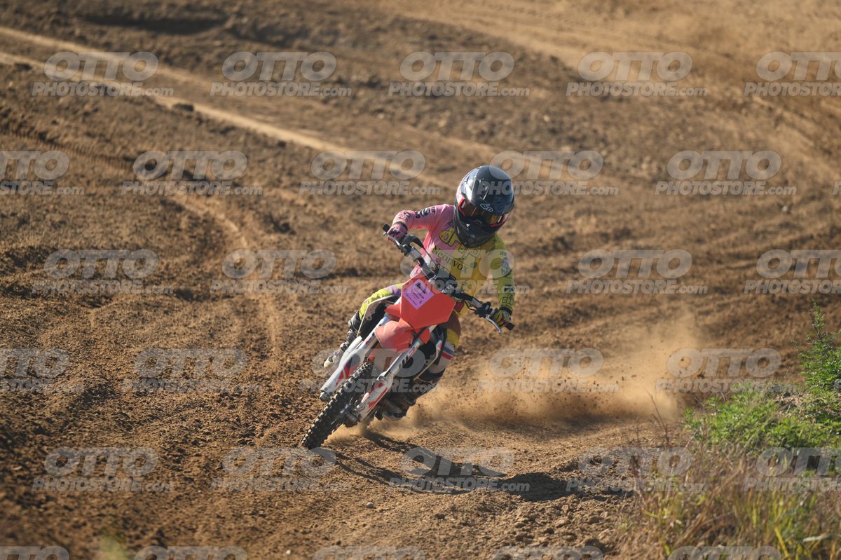 00 · DSH_3517