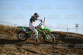 104 · DSH_3558