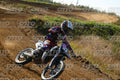 53 · DSH_3604
