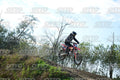 39 · DSH_3609