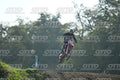 39 · DSH_3649