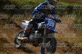 728 · DSH_3655