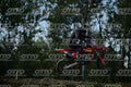 39 · DSH_3666