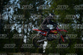 39 · DSH_3667