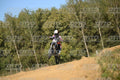 53 · DSH_3696