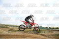 313 · DSH_3863