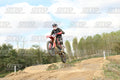 313 · DSH_3893