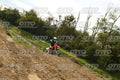 00 HONDA CRF · DSH_3956
