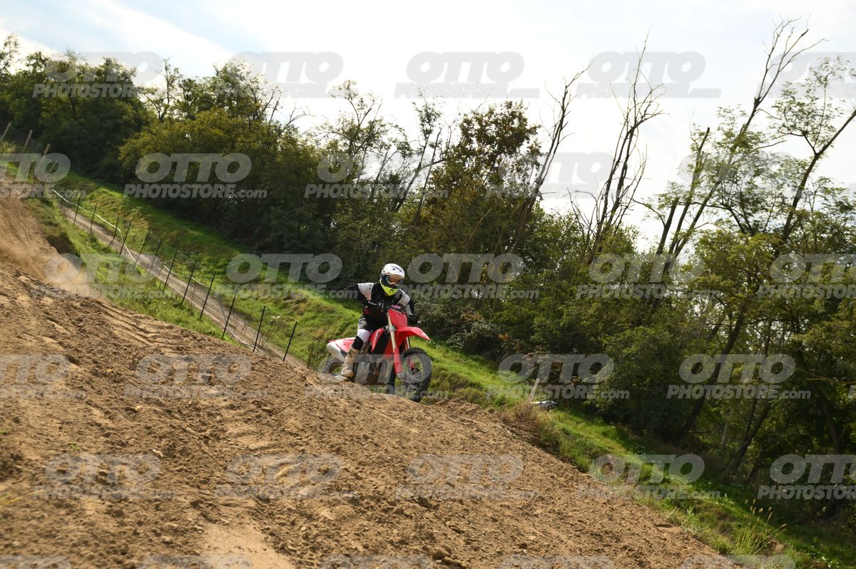 00 HONDA CRF · DSH_3956