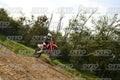 00 HONDA CRF · DSH_3958