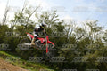 00 HONDA CRF · DSH_3961