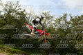 00 HONDA CRF · DSH_3963