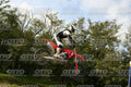 00 HONDA CRF · DSH_3964