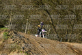KID WHITE YELLOW · DSH_4237