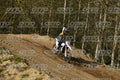 KID WHITE YELLOW · DSH_4304