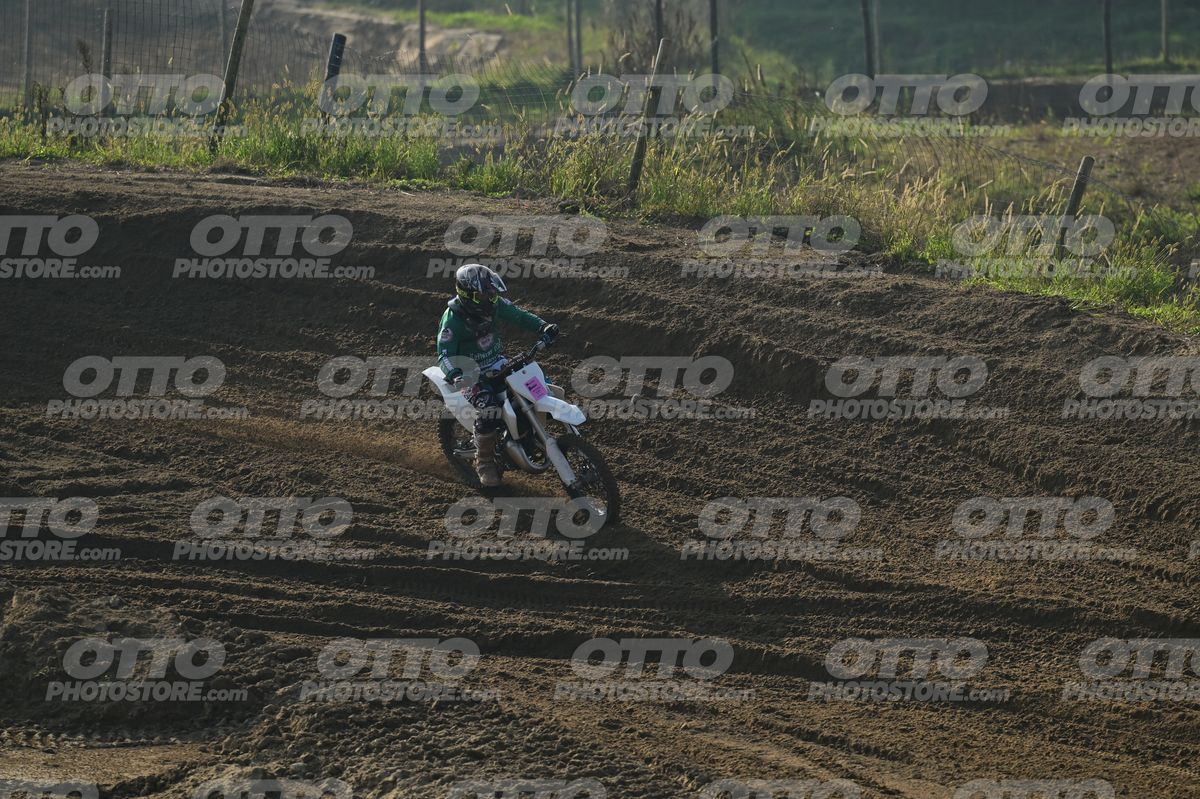 KID WHITE GREEN · DSH_4362