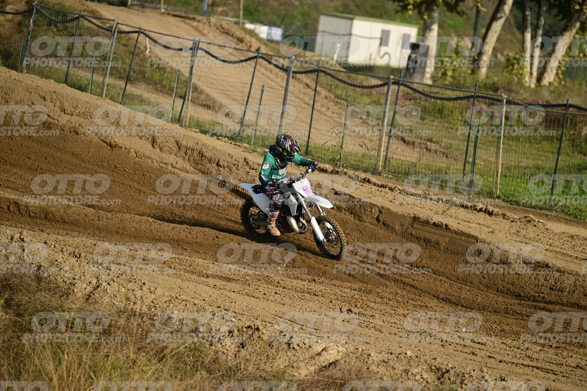 KID WHITE GREEN · DSH_4376