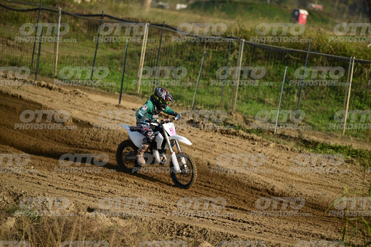 KID WHITE GREEN · DSH_4377