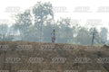 KID 38 · DSH_4401