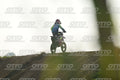KID 38 · DSH_4413