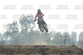 KID 41 · DSH_4416