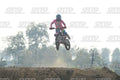 KID 41 · DSH_4417
