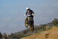 977 · DSH_4435