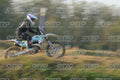 977 · DSH_4457