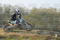 977 · DSH_4458