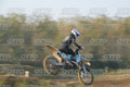977 · DSH_4460