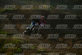 977 · DSH_4467