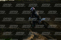 977 · DSH_4576