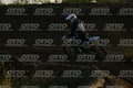 977 · DSH_4577