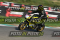 PITBIKE - SCOOTER VIPER GIALLA · DSH_4609