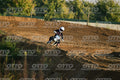 977 · DSH_4677