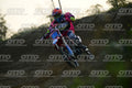 16 · DSH_4696