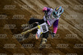 699 KID · DSH_5237