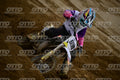699 KID · DSH_5238