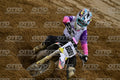 699 KID · DSH_5243