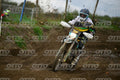 72 · DSH_5392