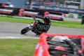 PITBIKE - SCOOTER 98 · DSH_5906
