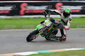 PITBIKE - SCOOTER 15 · DSH_5918