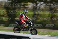 PITBIKE 23 · DSH_5979