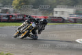 PITBIKE WHITE black - PITBIKE · DSH_6039