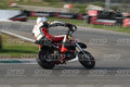 PITBIKE RED WHITE PITBIKE · DSH_6141