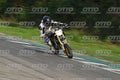PITBIKE WHITE black - PITBIKE · DSH_6146