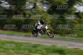 PITBIKE WHITE black - PITBIKE · DSH_6173