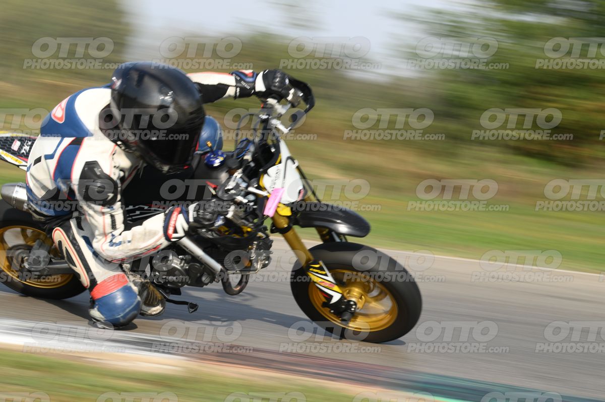 PITBIKE WHITE black - PITBIKE · DSH_6237