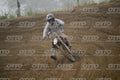83 · DSH_6425